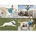 ouquckl Dog Backpack, Dog Collar Bandana for Hot Relief for Hot Flashes Pets Adjustable Dogs Chill Down Ice Cool Collar