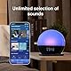 WiiM Wake-up Light, Sound Machine und Sleep Assistant, Sonnenaufgangswecker mit Musikalarm und personalisierten Schlafroutinen (Blu mare Verde)