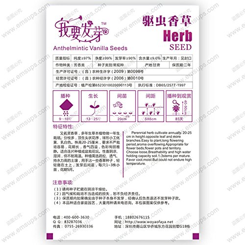 Semillas de soja comestible Edamame 'Perla Negra' para plantar | Reliquia japonesa orgánica sin OGM | 25 semillas