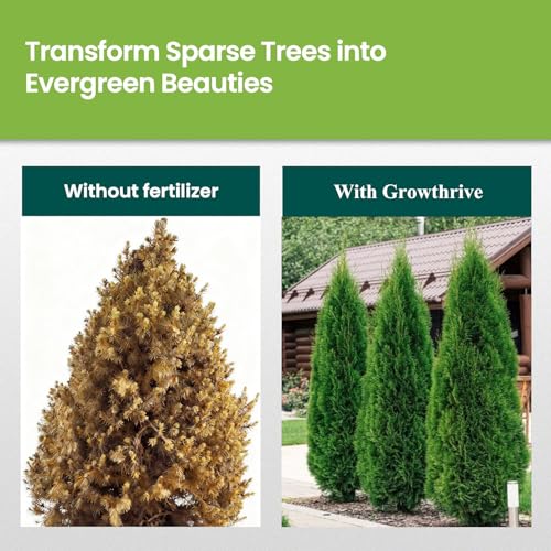 Fertilizante Líquido Evergreen Tree 300 ml Concentrado miniatura 6
