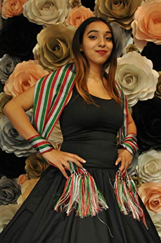 Rebozo Mexican Pashmina Fiesta Mexicana3