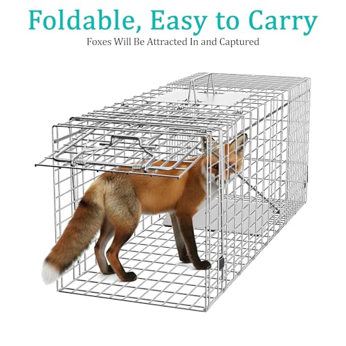 Live Animal Cage Trap, 37" x 13" x 14.5" Humane Cat Trap by GHYKL - Used condition - Image 2