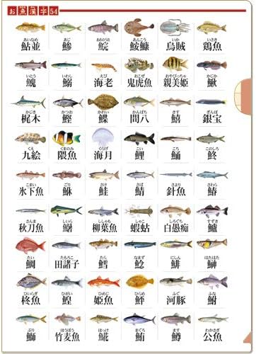 Amazon ザ アクセス 海 魚 図鑑 クリアファイル お魚漢字 大全シリーズ 生物 動物 人体 おもちゃ