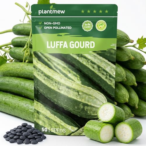 PLANTMEW 50 Heirloom Luffa Gourd Seeds for Planting Fast-Growing Sponge Gourd High Germination Ideal for Home Garden & Trellis Annual Vegetable Seeds