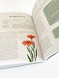 Heilen mit pflanzlichen Antibiotika: Mit 200 Rezepturen für Ihre Gesundheit. Kräutermedizin für starke Abwehrkräfte
