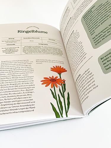 Heilen mit pflanzlichen Antibiotika: Mit 200 Rezepturen für Ihre Gesundheit. Kräutermedizin für starke Abwehrkräfte