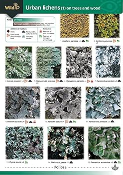 Paperback Guide to Common Urban Lichens (Pt. 1) Book