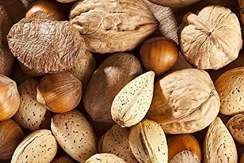 Mixed Nuts in Shell (10Kg) - Walnuts, Hazelnuts, Pecans, Almonds - Nutritious Vegan Keto Paleo Gluten-Free Snack - Freshly Packed, High in Protein and Fiber – Used in Baking, Cooking, Salad Toppings