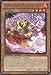 Yu-Gi-Oh! - Brotherhood of the Fire Fist - Boar (JOTL-EN026) - Judgment of the Light - 1st Edition - Rare