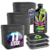 HOMEGROW24