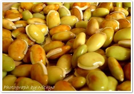 Pmw - Grade A Quality - Anumulu - Dolichos Sinensis Seeds - 500 Grams - Kind Of Beans-image-12