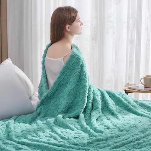 NEWCOSPLAY Super Soft Queen Blanket Sage Green Love Premium Silky Flannel Fleece 3D Heart Checkered Lightweight Bed Blanket All Season Use (Sage Green Love, Queen(90"x90"))