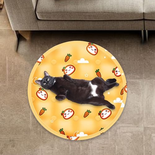Tapis de refroidissement pour chat d'intérieur contre la canicule - 4