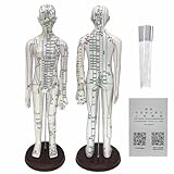 Body Acupuncture Model 20.5' - with English Points, Acupuncture Doll, Meridians Acupuncture Point Model, High Definition Clear Acupoint for Student Practice, Acupuncturists Training (Female Model)