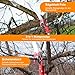 Qdreclod 2-in-1 Teleskop-Astschneider & Astsäge 9 m, Profi Gartenschere mit 65Mn Stahlklinge, ausziehbarer Hochentaster für Obstbäume, Palmen & Gartenarbeiten, inkl. Zubehör & Tasche
