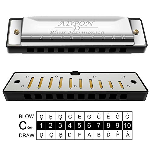 Harmonica For Adults Kids,C Key 10 Holes 20 Tones Mouth Organ Diatonic Blue Armonicas For Beginner Adults Students Boy Girl Kids Your Son And Daughter Gift With Case,Silver #TOP2