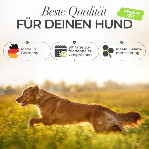 ENEMEL Gelenk Komplex Hund Tropfen 30 ml – flüssiges Nahrungsergänzungsmittel Hund mit Kollagen, Hyaluronsäure & MSM, Alternative zu Tabletten oder Kapseln, zur täglichen Fütterung, Made in Germany