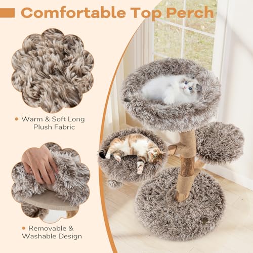 Árbol para Gatos de Madera de Pera 35.5 pulgadas miniatura 4