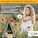 Wildlife World Butterfly House and Feeder - Natural Habitat to Attract Butterflies to Your Garden (Blue)