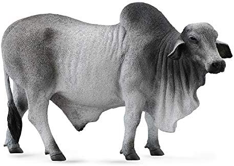 CollectA 88579 Grey Polled Brahman Bull, 5.3"L x 3.3"H , Gray