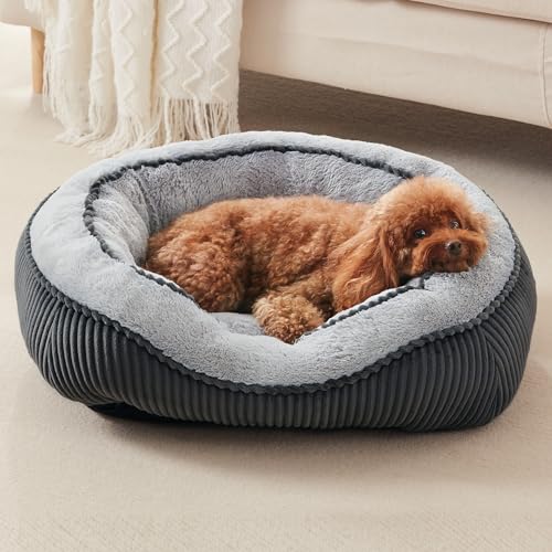 SIWA MARY Small Dog Beds for Small Dogs Cats, Washable Pet Bed, Cat Beds for Indoor Cats, Rectangle Soft Calming Sleeping Warming Puppy Bed with Anti-Slip Bottom(20"x19"x6")