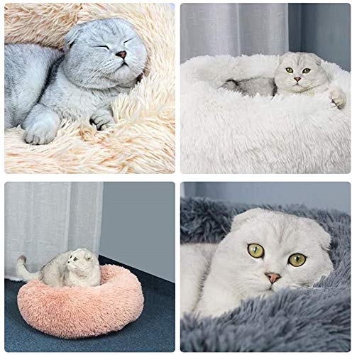 Panier rond chien grand format pour stopper les nuits agitées - 6