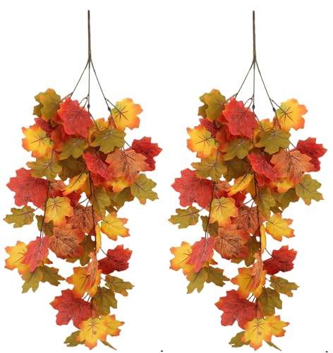 koundeneko lHgt  2{Zbg Ǌ| ݂̎} H̗t ͂ꂩȂ lHϗtA nMO fR[V Ӎ nEB H z[ p[eB[  X  Be