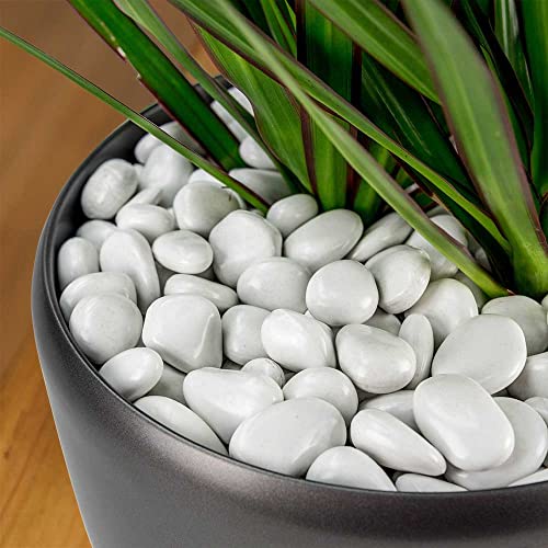 Polypebbles Polished Composite Decorative Stones | Triple The Coverage Of Natural Stone | 100% Recycled Materials + Nature Friendly | Won't Fade Or Crack | Small (.5" - 1") Size | 2.4 Lbs Light Grey #TOP1
