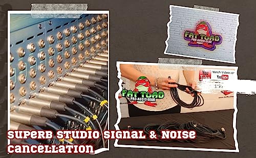 Fat Toad Microphone Cables (4 Pack) 20Ft Pro Audio Xlr Mic Cord Patch Extension With Female & Male Connector | 20 Awg Shielded Wire & Balanced For Recording Studio Mixer | Live Sound Stage Gear #TOP4