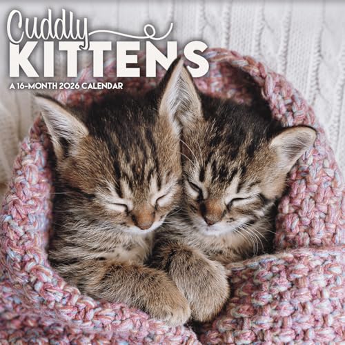 2026 Cuddly Kittens Wall Calendar
