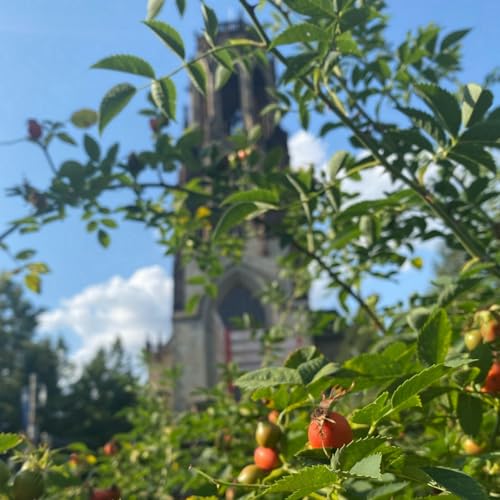 Agnes trifft Heimat Podcast Por  arte de portada