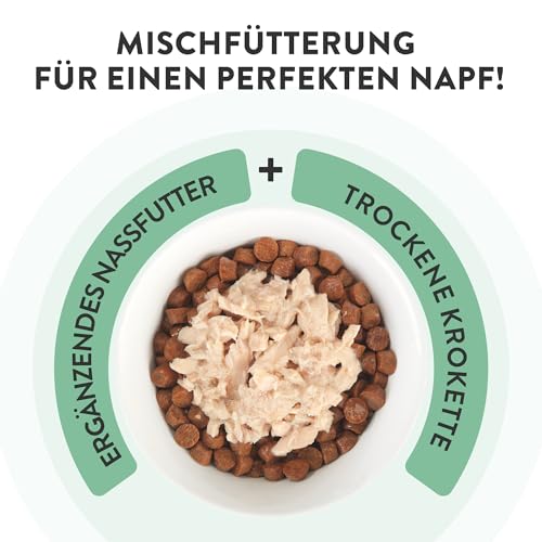 Schesir, Thunfischfilets in Gelee, ergänzendes Nassfutter für Katzen, Originalrezept, 100% natürlich, 12 Beutel à 70 g
