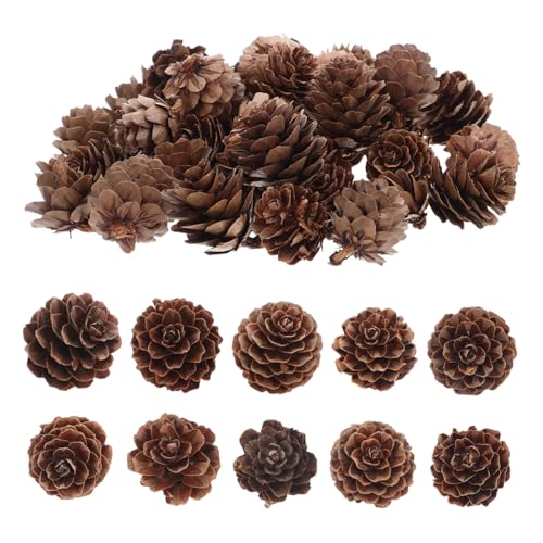 LOLIPPYY 100piezas Decoración Navideña De Piñas Naturales Adornos De Piña Miniatura para Manualidades De Otoño Decoración De Fiesta De Navidad y Acción De Gracias Relleno De Jarrones