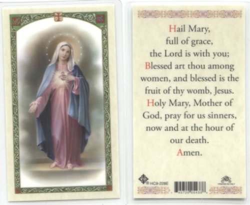 San Francis Imports Blessed Virgin Mary Hail Mary Full of Grace Holy Prayer Card Laminated