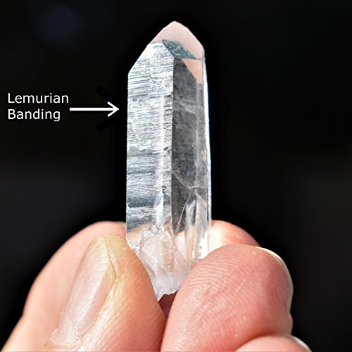 Zenergy Gems Charged Colombian Lemurian Seed Quartz Crystal Point Pendant [Facet-Grade] 10-25 carats weight (Crystal) + 20" Silver Chain + Selenite Charging Heart Included (HEALING ENERGY)3