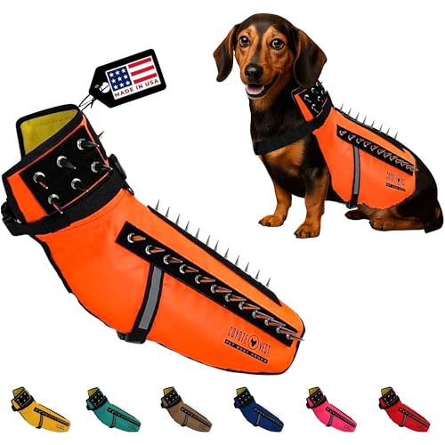 CoyoteVest Dog Harness Protection Vest, Reflective Dog Accessories with Spikes to Shield Your Pet from Raptor and Animal Attacks, Proudly Made in America (Medium, Fluorescent Orange)