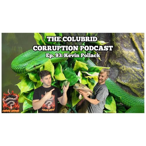 High Level Production While Staying Lowkey w/ Kevin Pollack | Colubrid Corruption | Ep. 93 cover art