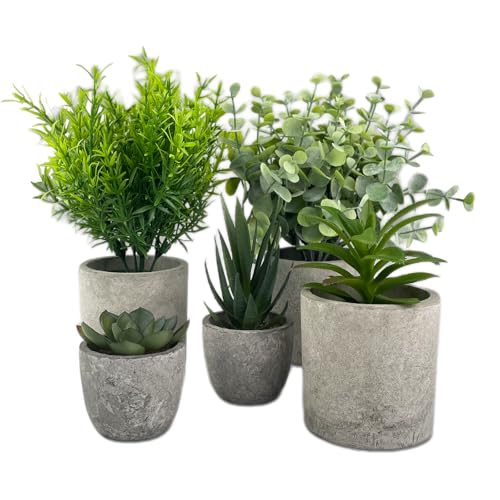 TERRARIDE 5 Stück Kunstpflanze, Mini Künstliche Pflanzen Schlangenzunge, Agave Sukkulente, Eagle Claw Aloe, Eukalyptuspflanzen, Künstliche Pflanzen für Schlafzimmer Büro Dekoration