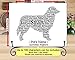 Australian Shepherd Personalize Dog Wall Art Print | Home Decor Gift Wrapped | Custom Name | Pet Loss Memorial Present for Owners | USA Handmade