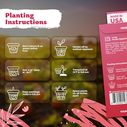 image for KVITER 175 Long Purple Eggplant Seeds (Solanum melongena) – Asian Eg