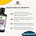 Amazing Herbs Premium Black Seed Oil - Cold Pressed Nigella Sativa Aids in Digestive Health, Immune Support, Brain Function, Joint Mobility, Gluten Free, Non GMO - 32 Fl Oz (Pack of 2)