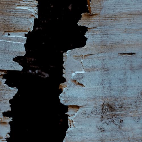 DBI - Emotional Baggage Part 7