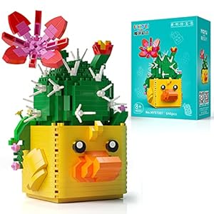 Eveloyon 646 – Set di bonsai per piante grasse e bonsai