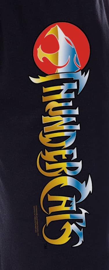 Thundercats Men's Classic Show Title Logo Sleep Jogger Pajama Pants3