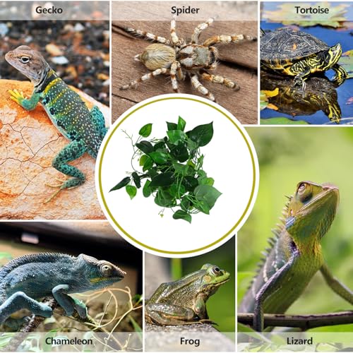 Enredadera para decoración realista contra el estrés en jaulas de reptiles 7