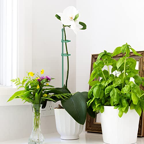 Zwish 20Pcs 16Inch Plant Stakes, Green Plant Sticks Supports With 40Pcs Plant Clips Garden Stakes For Indoor Plants For Tomato Beans Orchid Lily Peony Rose Flower #TOP6