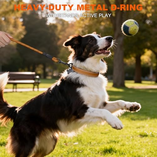 Image of Taglory Reflective Dog Collar for Medium Dogs, Soft and Safe for Daily Walk