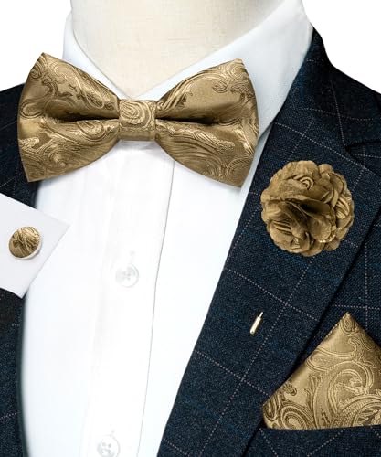 Image of RBOCOTT Paisley Bow Tie and Pocket Sqaure Set with Lapel Pin and Cufflinks for Men