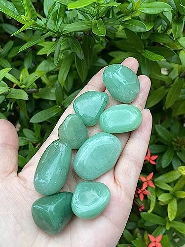 Image of GAF TREASURES 1 /2 LB Green Aventurine Tumbled Stones, Polished Green Aventurine Gemstone, Green Aventurine Healing Crystals (Green Aventurine)