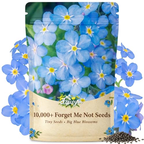 EquSym Forget Me Not Seeds